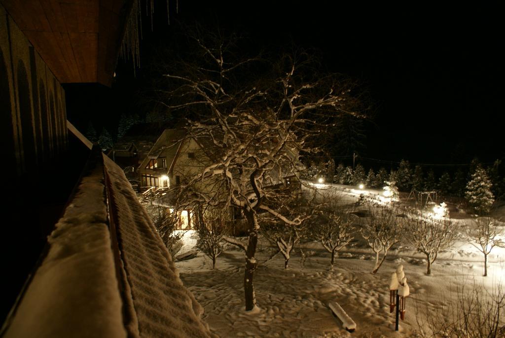 Perlyna Karpat Hotell Slavskoje Eksteriør bilde