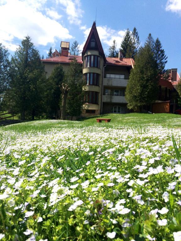 Perlyna Karpat Hotell Slavskoje Eksteriør bilde